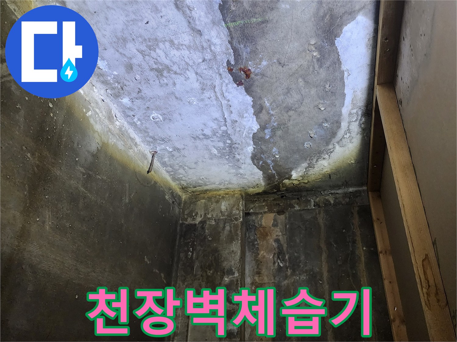 상가 천장 내부-콘크리트 층에 가득 찬 습기와 얼룩