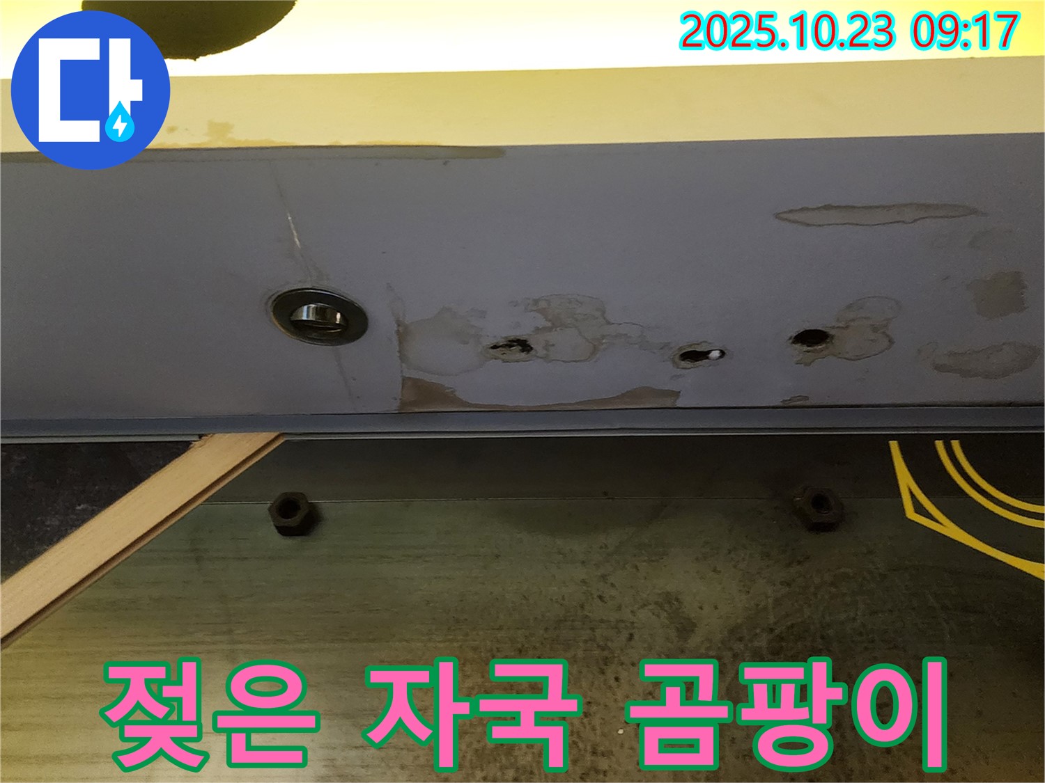 양주 도하리 천장 석고보드 누수 - 젖은 자국과 곰팡이가 발생한 모습입니다.