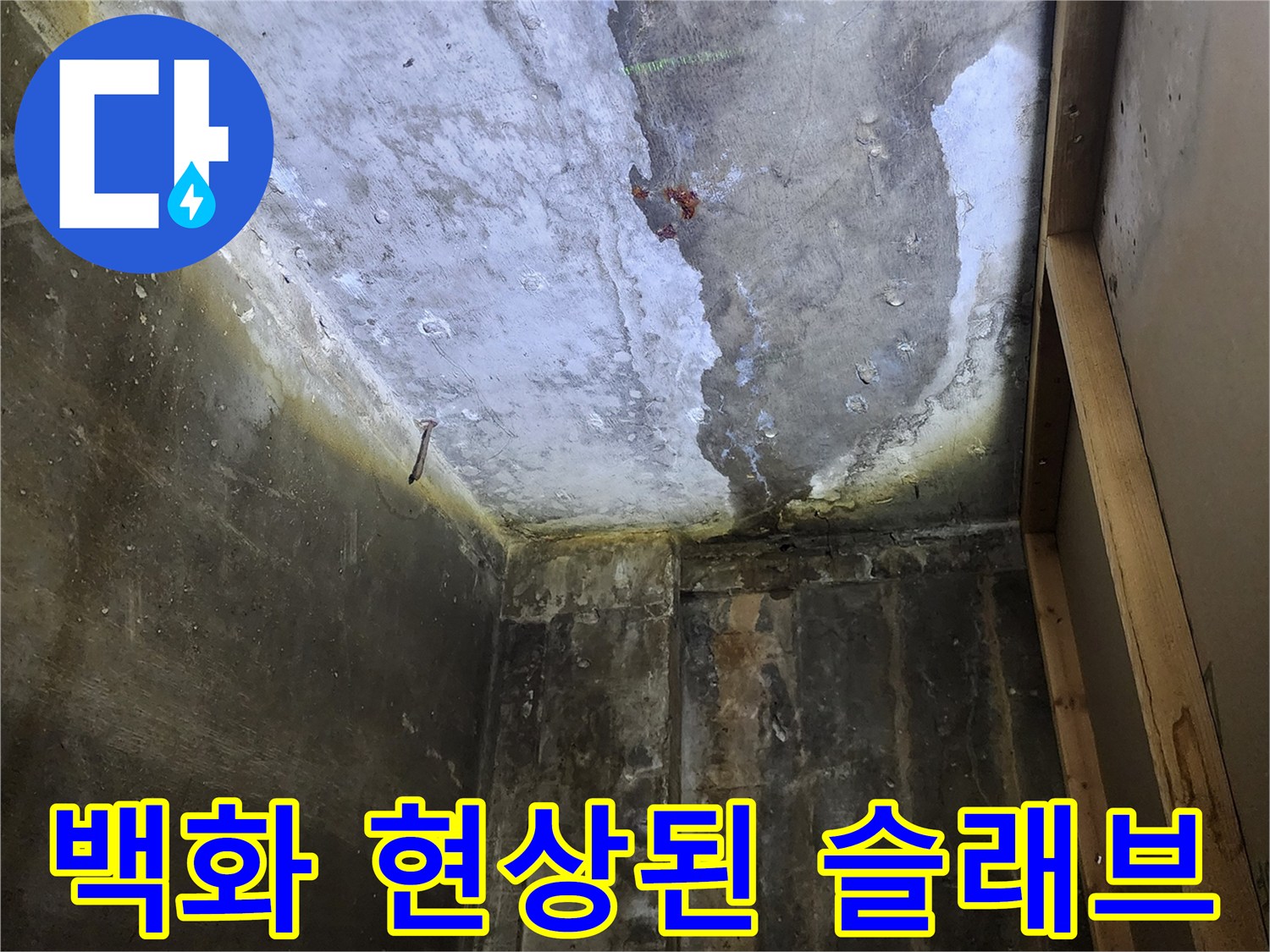 천장 내부 점검-물샘으로 인해 하얗게 일어난 백화와 습기