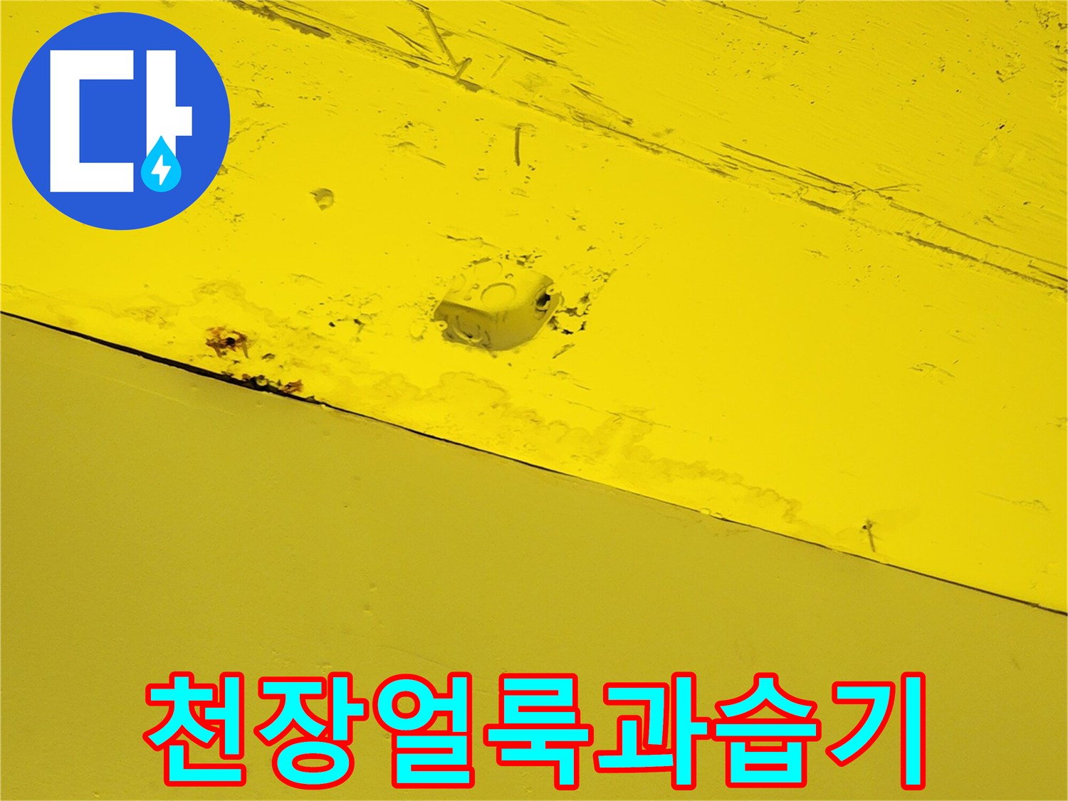 상가 내부 천장-누수 피해로 인해 얼룩진 노란색 패널 부위