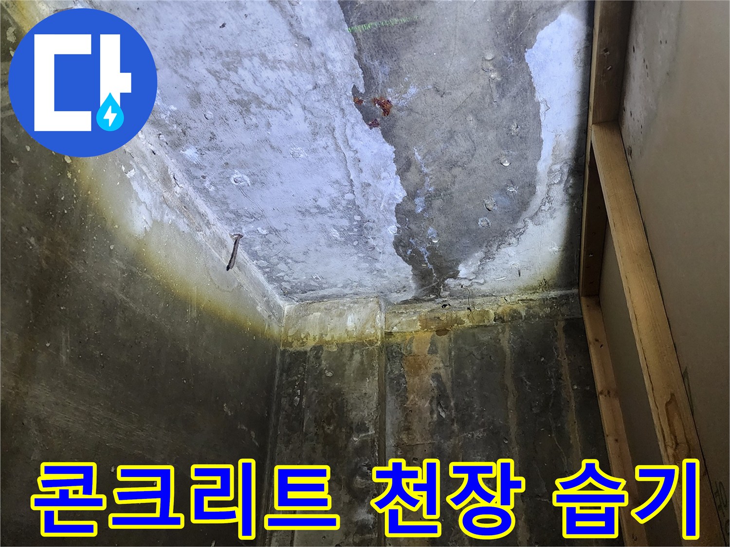 양주시-은현면-상가-천장-콘크리트-슬래브-습기-오염-상태
