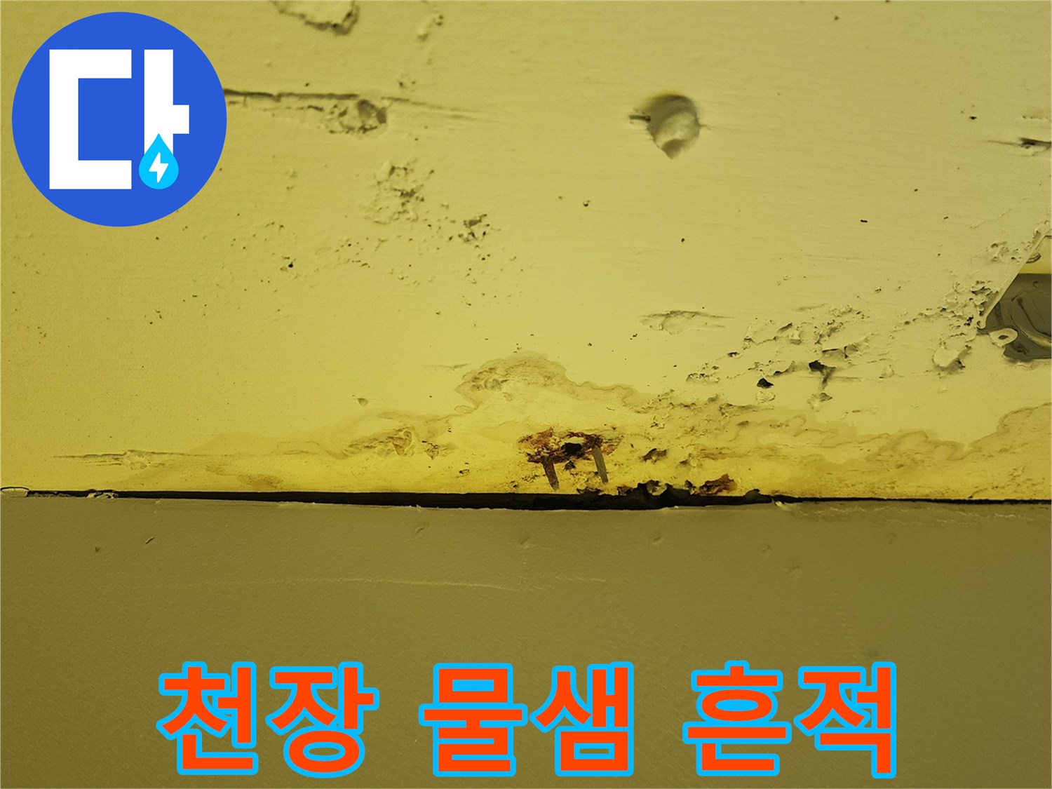 양주시-하패리-상가-천장-누수-흔적-사진