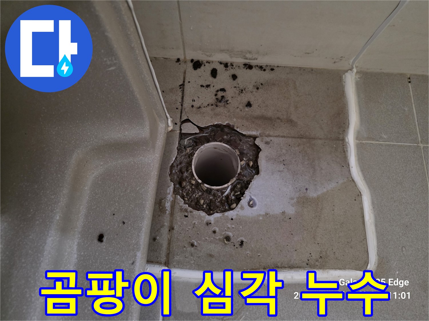 고양시 덕양구 오부자동 욕조 배수구 주변 곰팡이 - 누수 의심 및 곰팡이 제거 시급