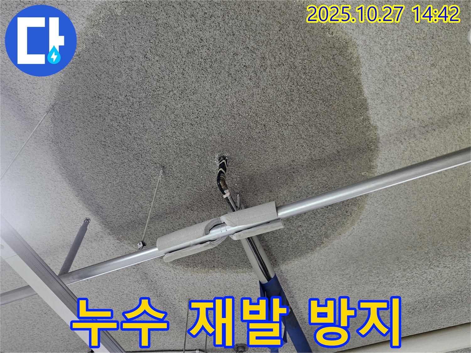 덕양구 오부자로 텍스 천장 누수 - 누수 재발 방지를 위한 꼼꼼한 시공