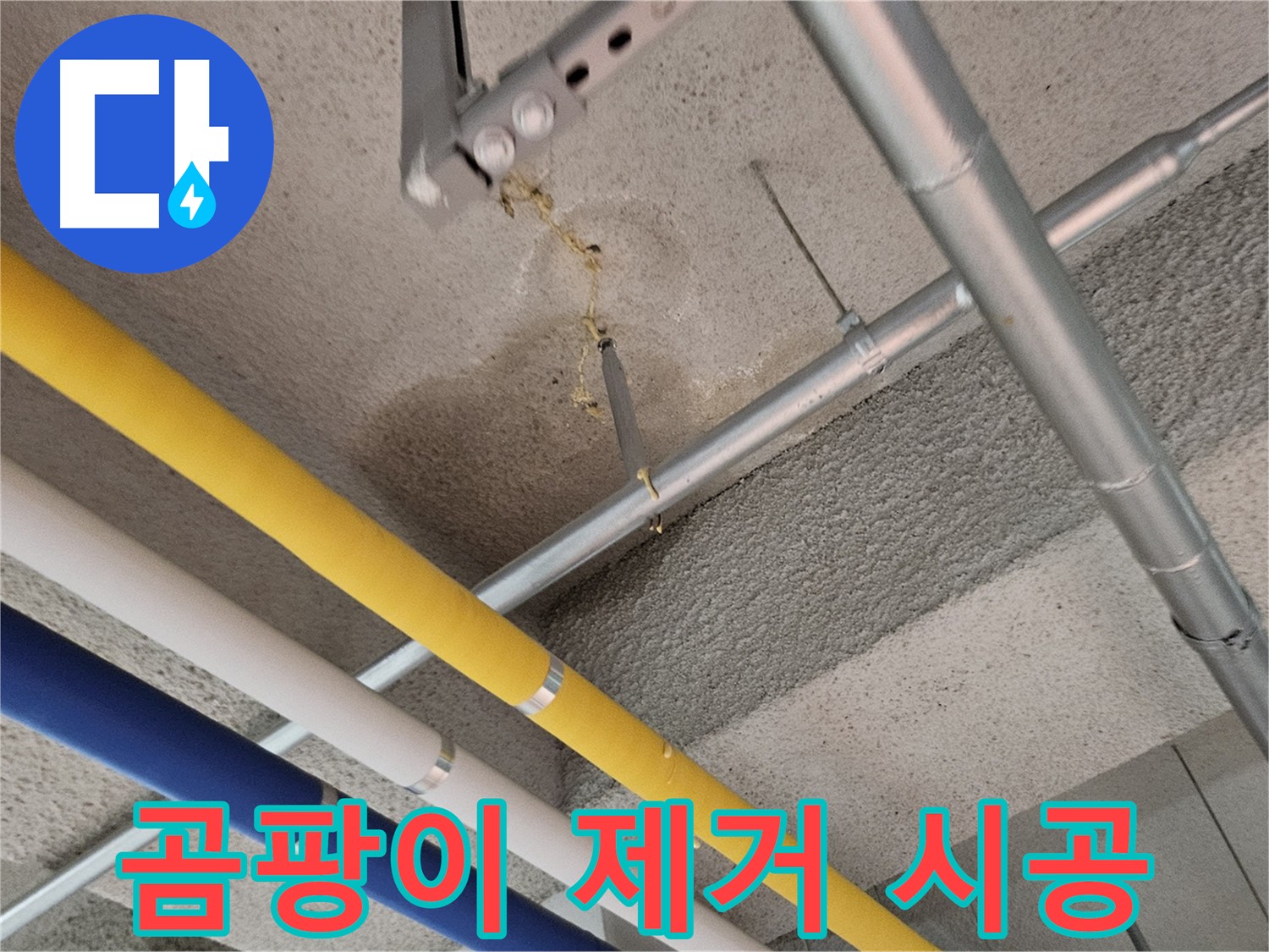 오부자로 누수 곰팡이 제거 및 방지 시공