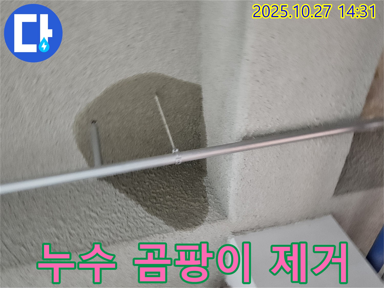 천장 누수 - 덕양구 누수 해결 후 곰팡이 제거까지!