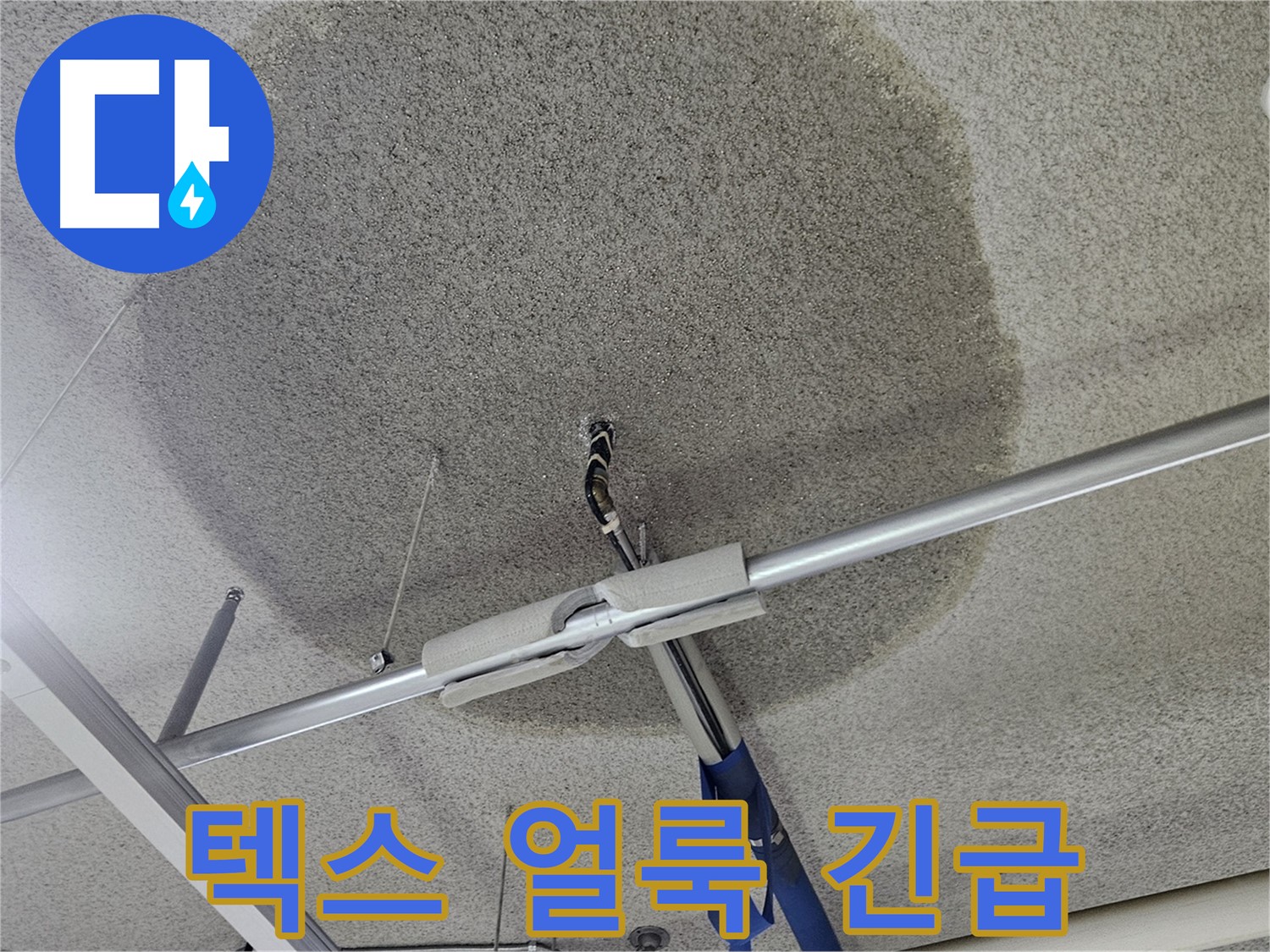 천장 텍스 얼룩 - 긴급 누수 해결