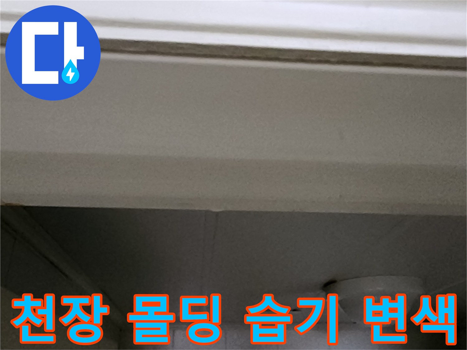 습기로 인해 젖어 있는 흰색 천장 몰딩과 천장 구조물 사진입니다.