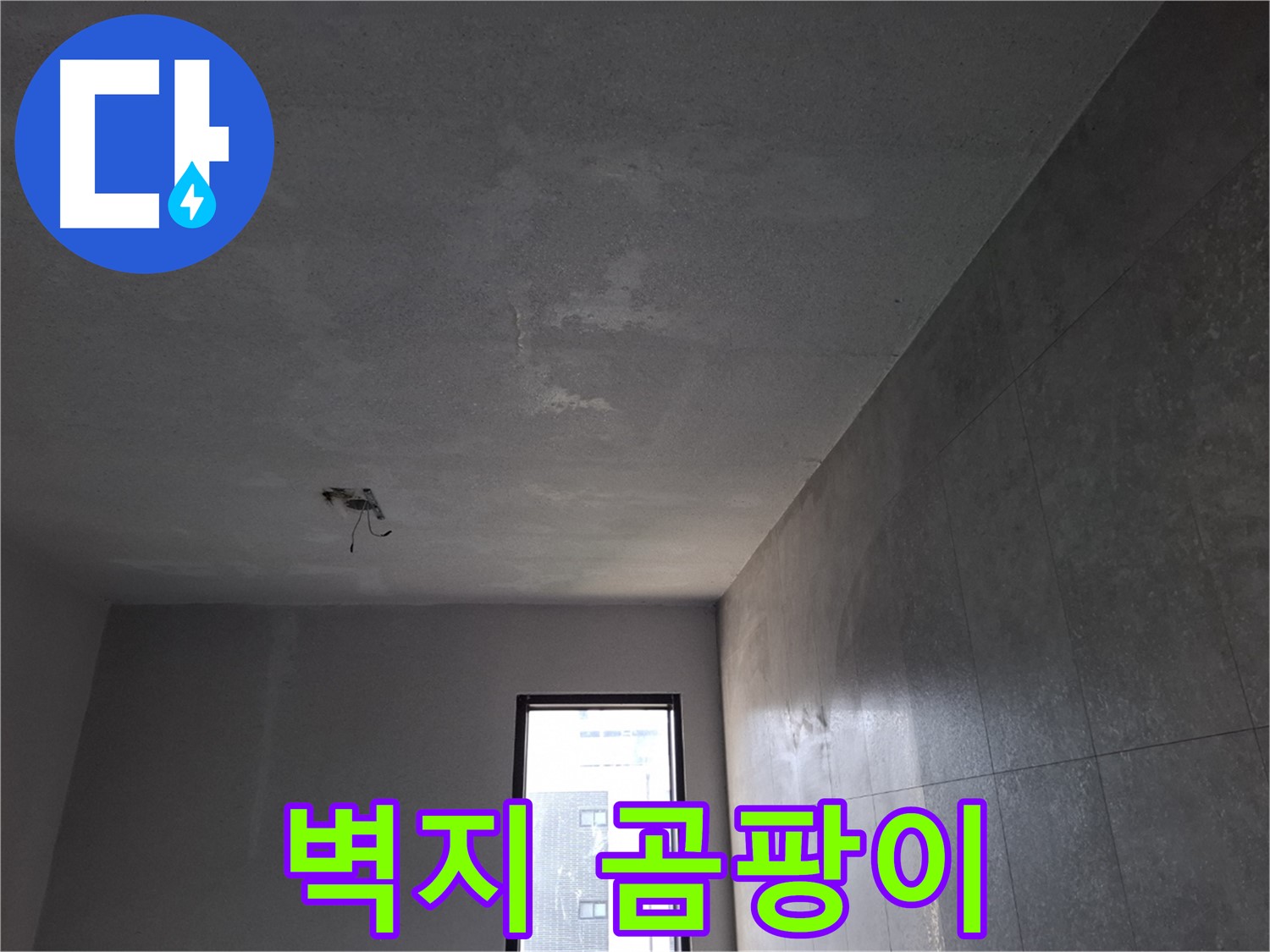 고양시 덕양구 향동 - 벽지 곰팡이 발생 - 누수 해결과 곰팡이 제거를 동시에!