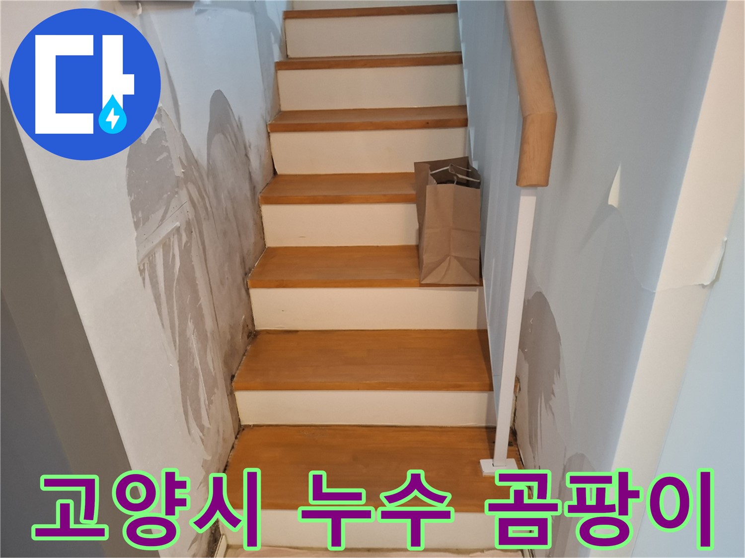 벽 곰팡이 - 건강 위협, 곰팡이 박멸 작전!