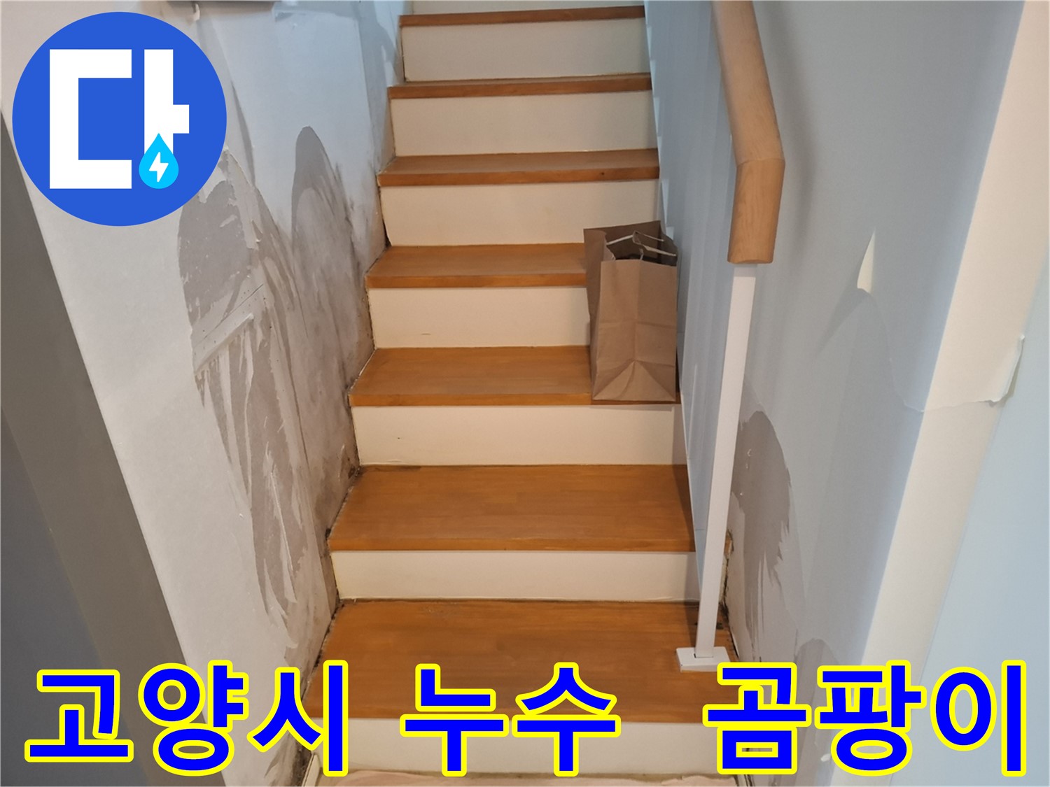 벽 곰팡이 - 건강 위협, 곰팡이 퇴치