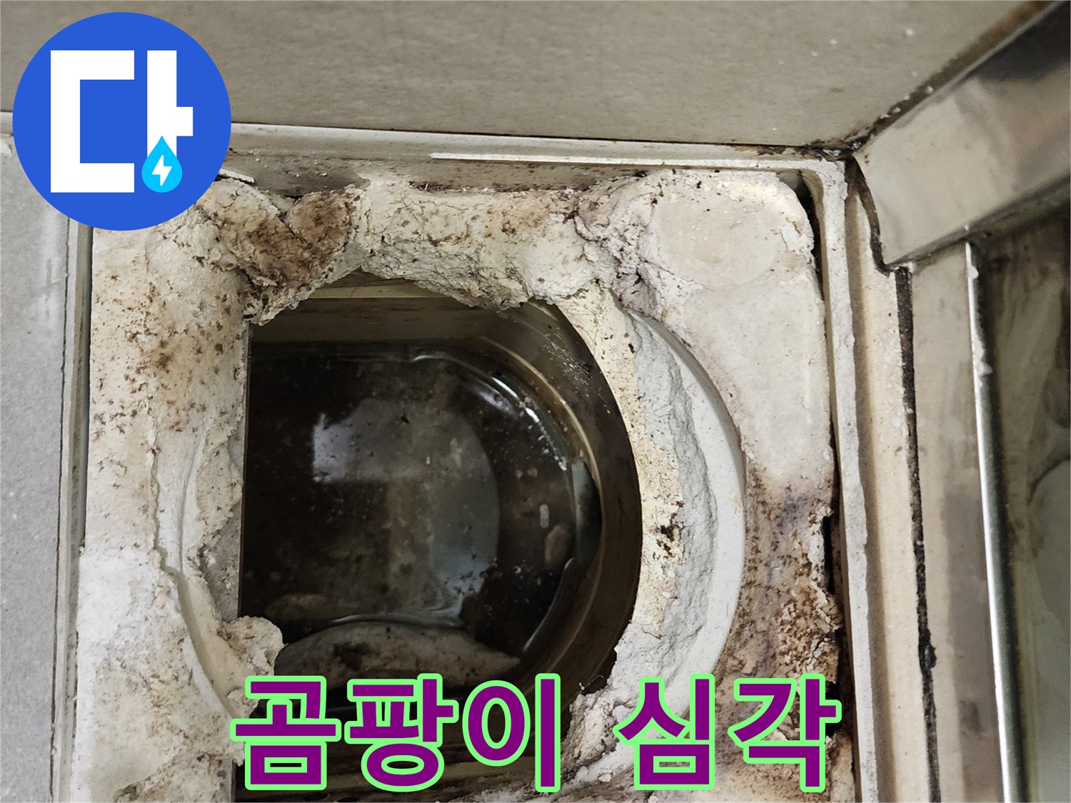 금호동2가 신금호파크자이 욕실 유가 주변 곰팡이 - 건강에 해로움