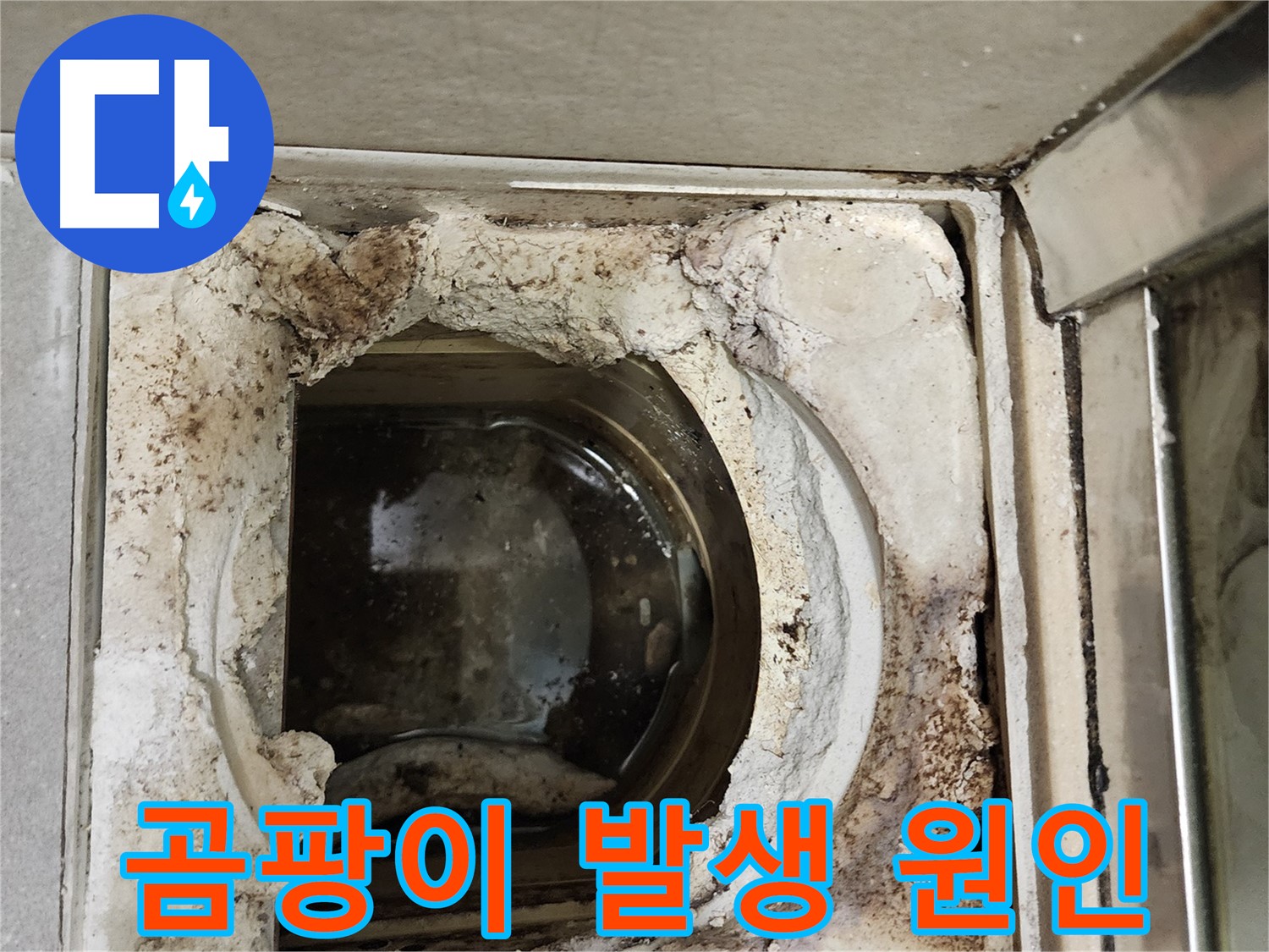 금호동2가 신금호파크자이 욕실 유가 주변 곰팡이 - 누수와 습기