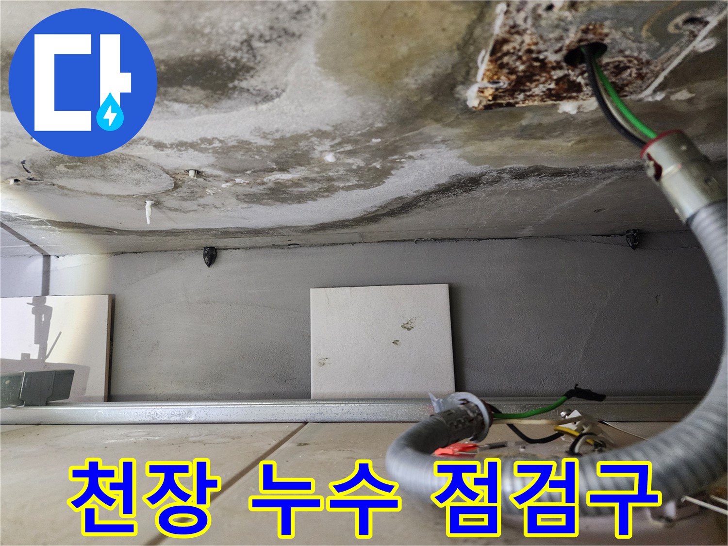 천장 누수 - 점검구 주변 곰팡이