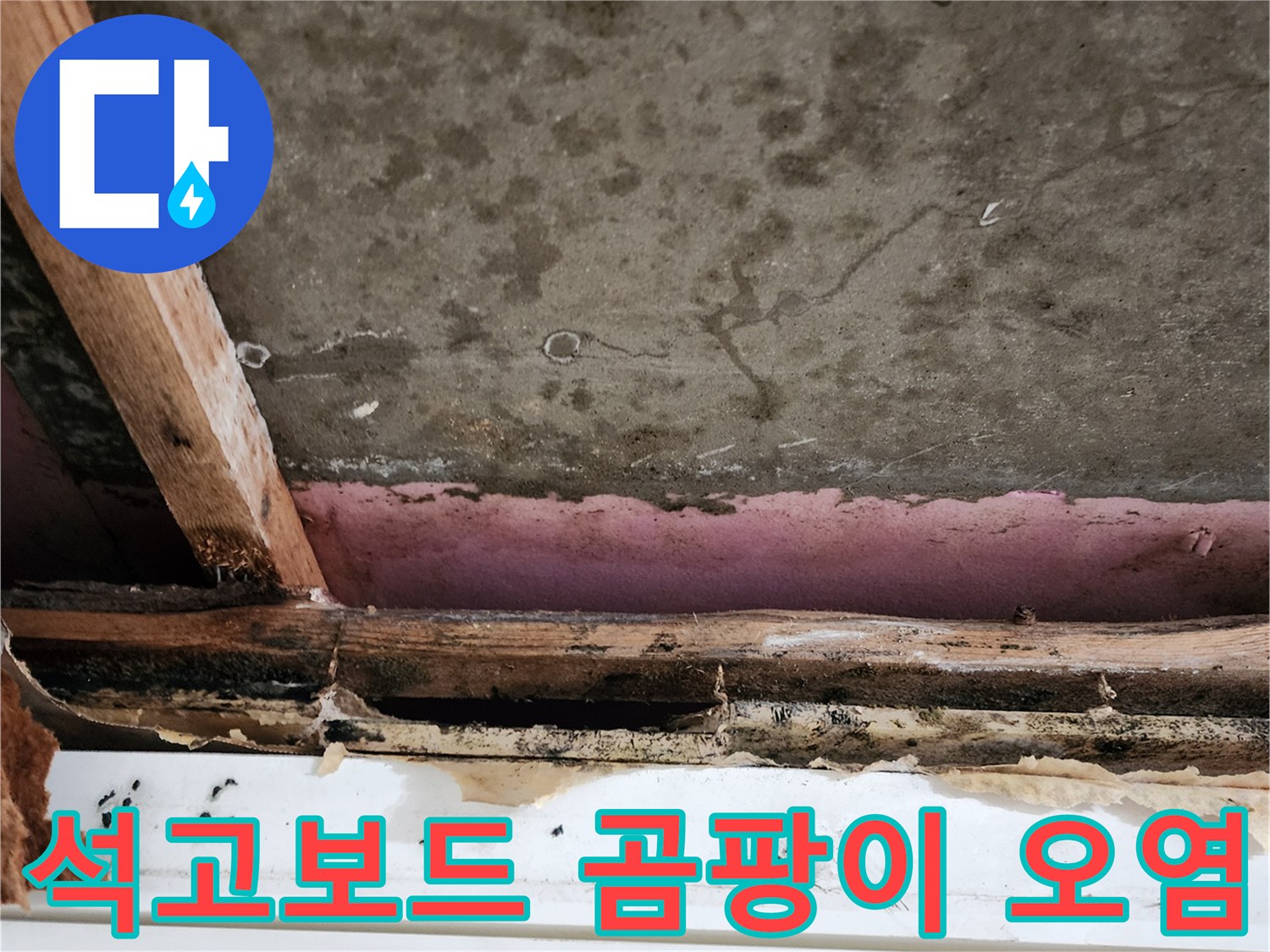 물샘 흔적으로-오염된 석고보드와-부풀어 오른 나무