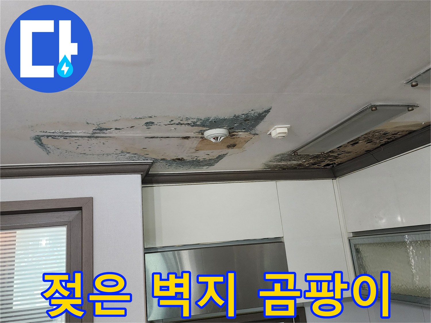 벽지가 물에 젖어 변색되고 곰팡이가 퍼진 모습