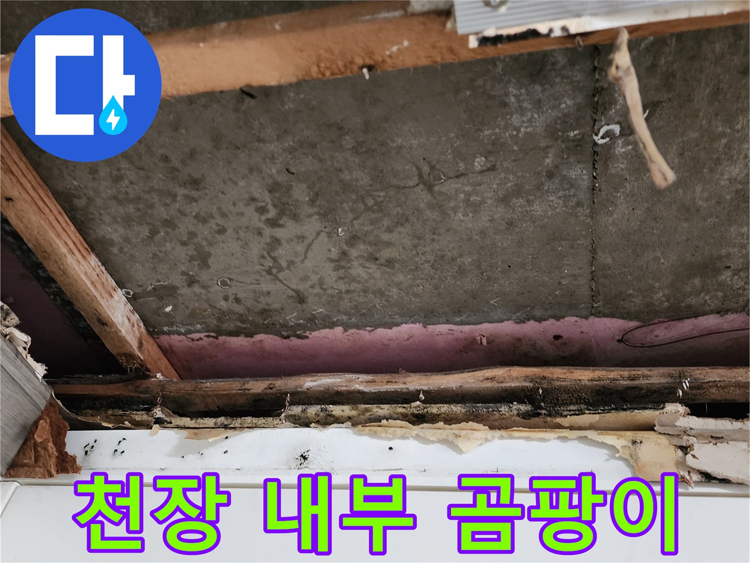 천장 내부-습기로 인한 곰팡이 및 자재 부식 상태