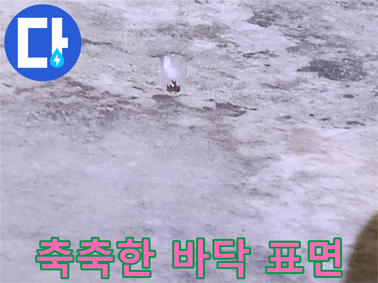양주시 유양동 현장 - 배수구 주변의 습윤한 상태
