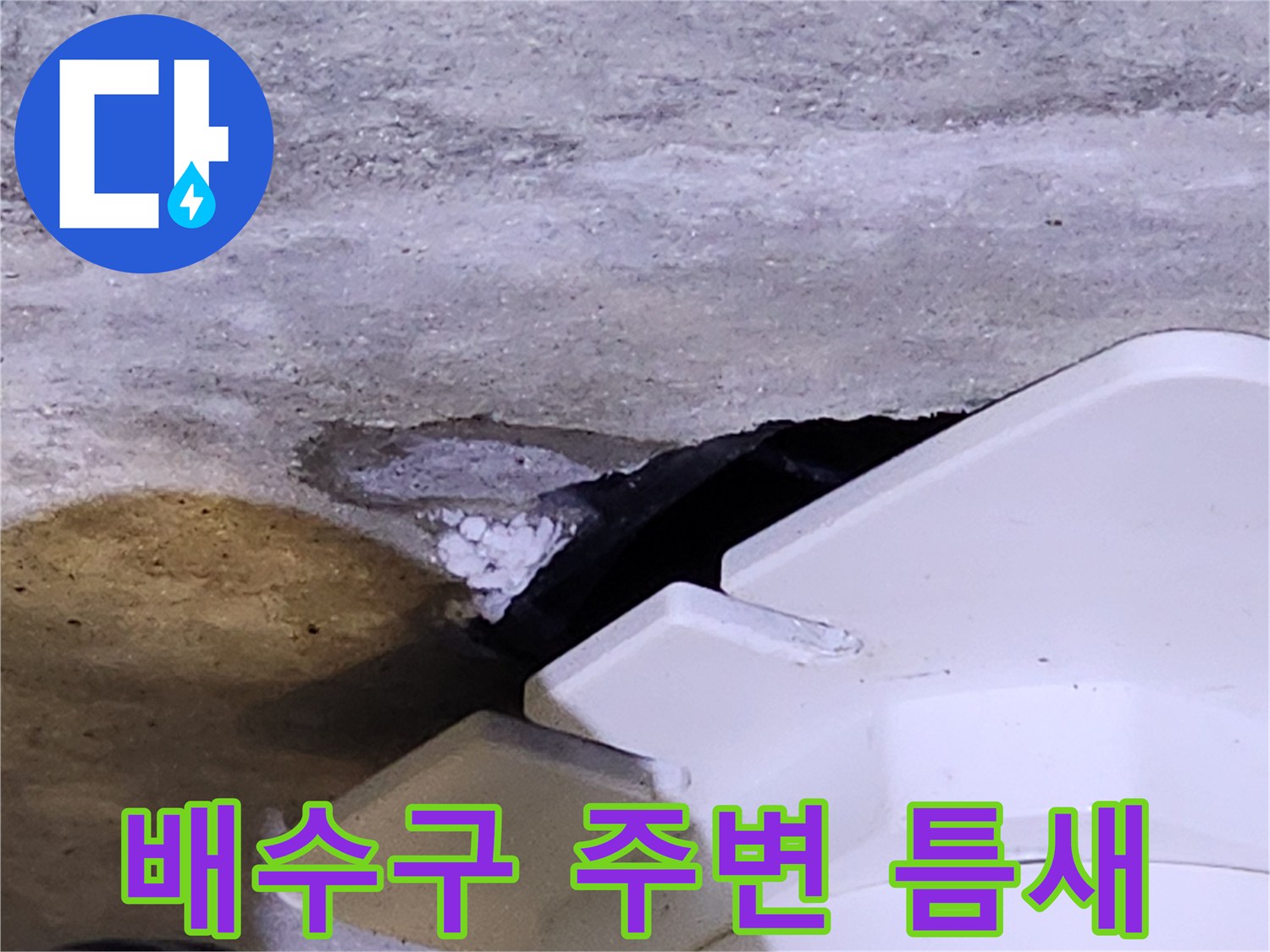 양주시 유양동 화장실 배수구 유가 주변의 방수층 파손 상태를 보여주는 사진입니다.