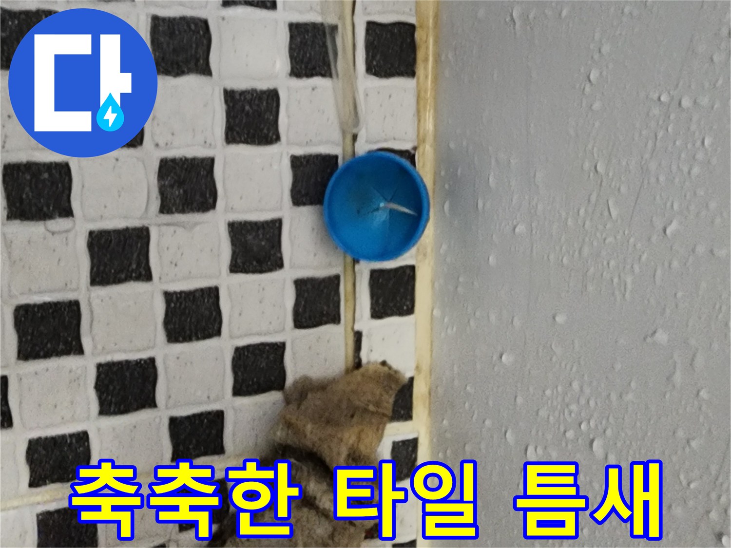 배수캡 주변에 고인 물과 오염된 이물질 상태