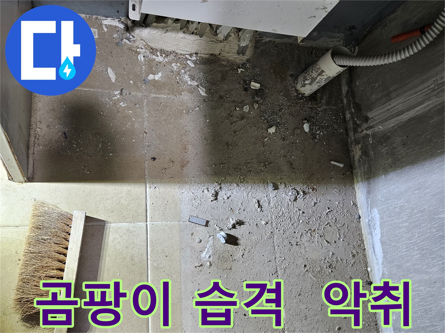 양평 용문면 어수리 누수 - 곰팡이 습격 - 악취까지 - 긴급 청소 필요