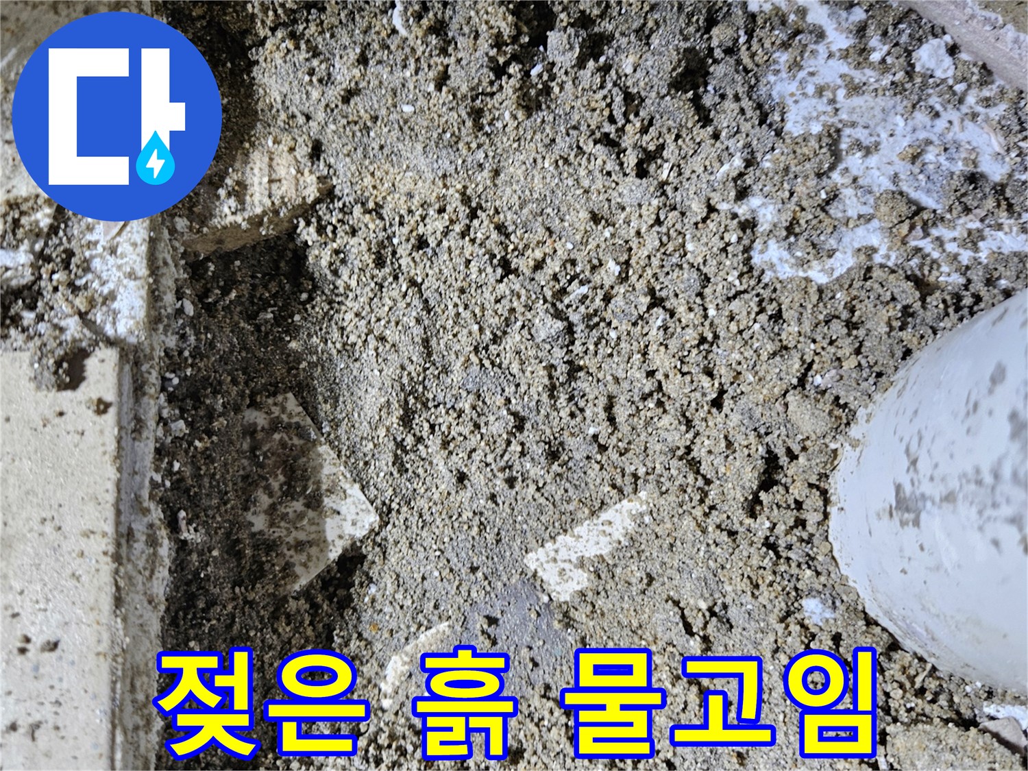 양평 용문면 어수리 누수 - 젖은 흙과 물고임 - 누수 진행