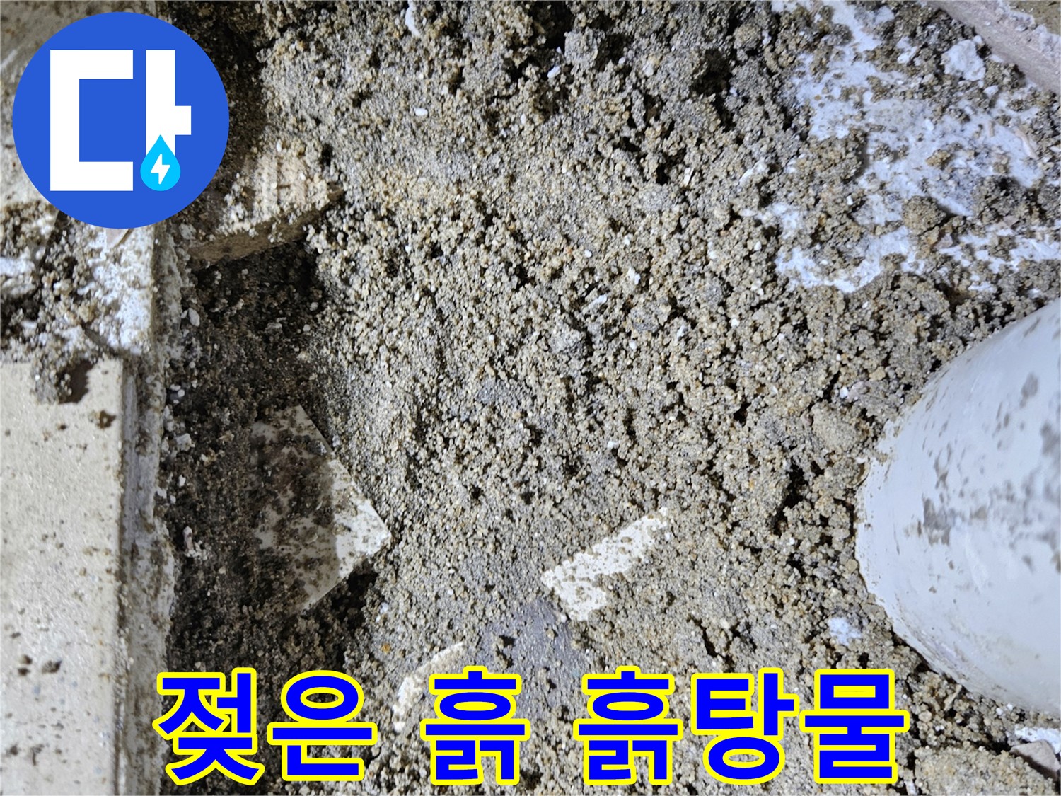 양평 용문면 어수리 누수 - 젖은 흙과 흙탕물 고임 - 누수 진행