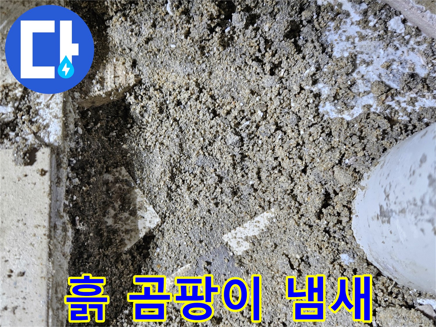 양평 용문면 어수리 누수 - 흙의 곰팡이 냄새 - 곰팡이 번식