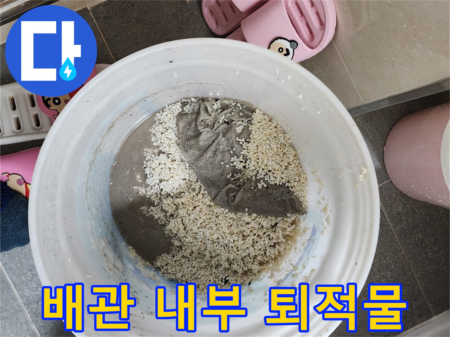 석션 통에 담긴-배관 내 오염된 슬러지 덩어리