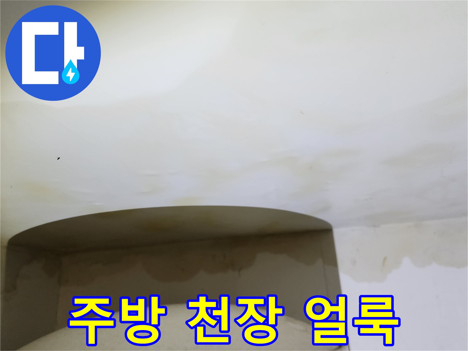 양주시 옥정동-주방 천장에 발생한 누수 흔적과 얼룩 상태