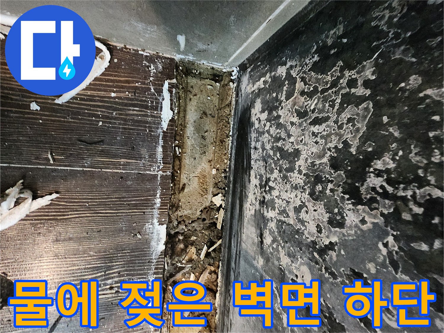 누수 현장 사진-곰팡이가 발생한 주방 벽체와 바닥 접합부