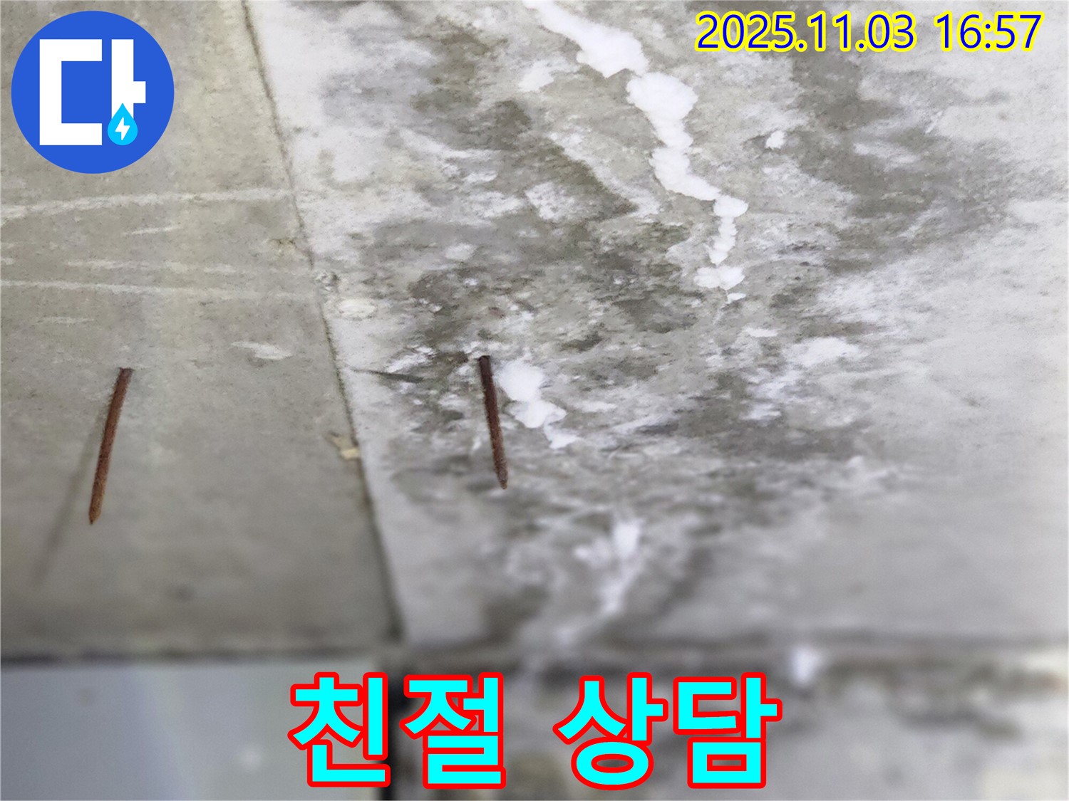 양주시 삼숭동 누수 현장 - 친절하고 자세한 상담으로 솟은 못 누수에 대한 모든 궁금증을 해결해 드립니다.