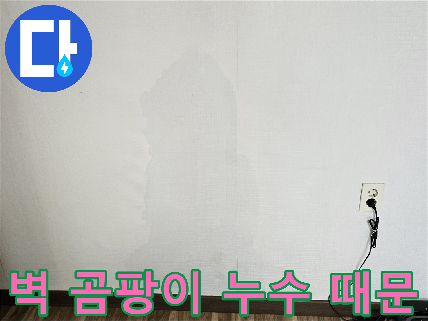정릉동 스카이힐스테이 벽 곰팡이 - 누수 원인 및 곰팡이 제거