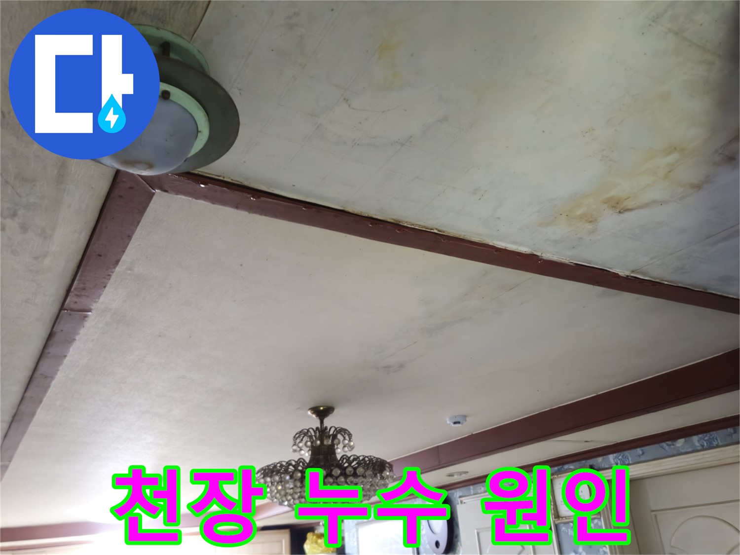 누수 고민 해결 - 친절한 상담과 최적의 해결 방안 제시
