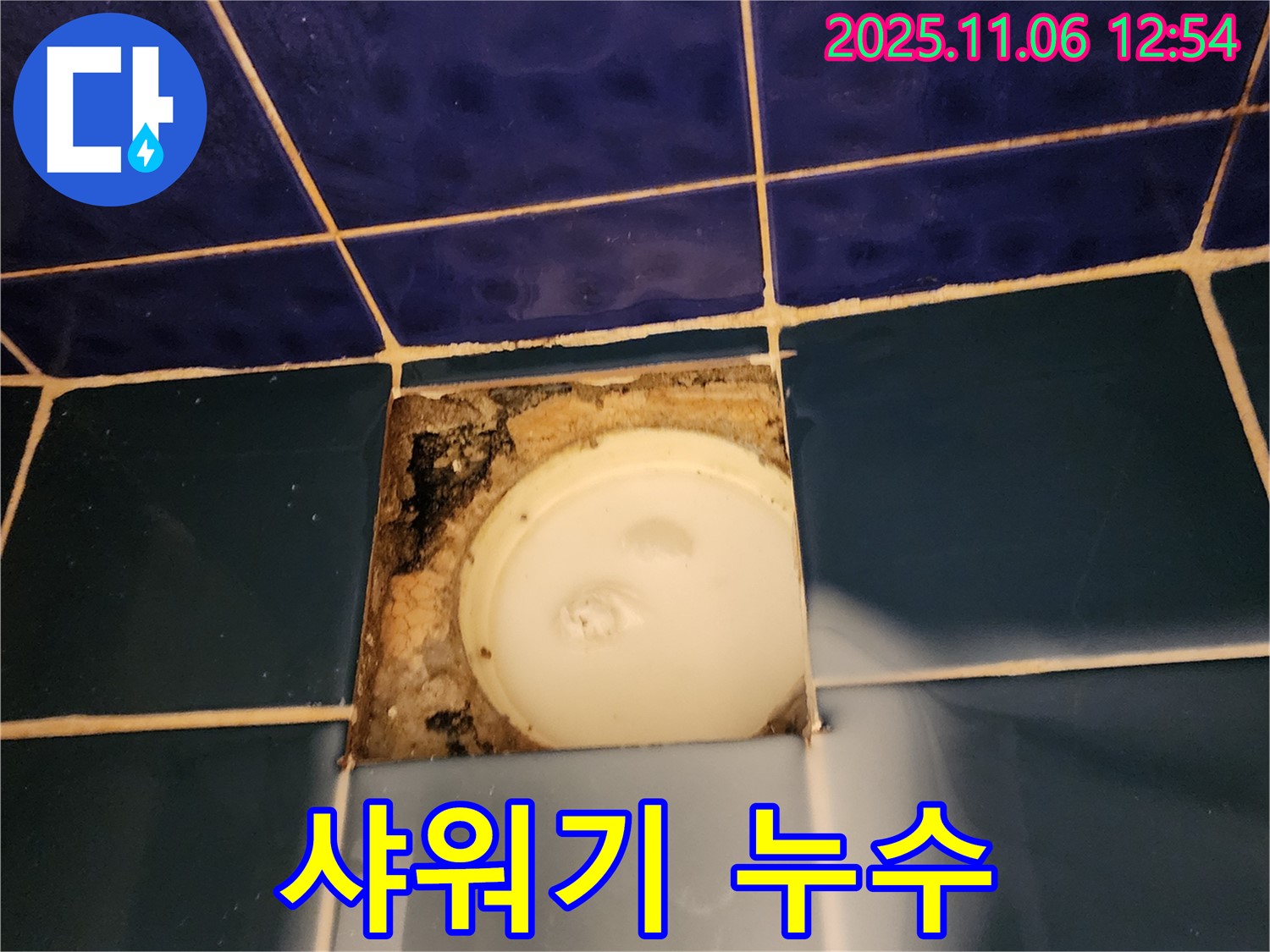 포천 소흘읍 고모리 욕실 샤워기 누수 - 부품 교체 및 연결 부위 점검