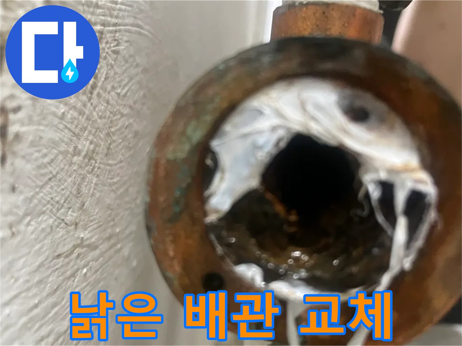 양천구 누수 - 낡은 배관 속 하얀 석회 새 배관 교체