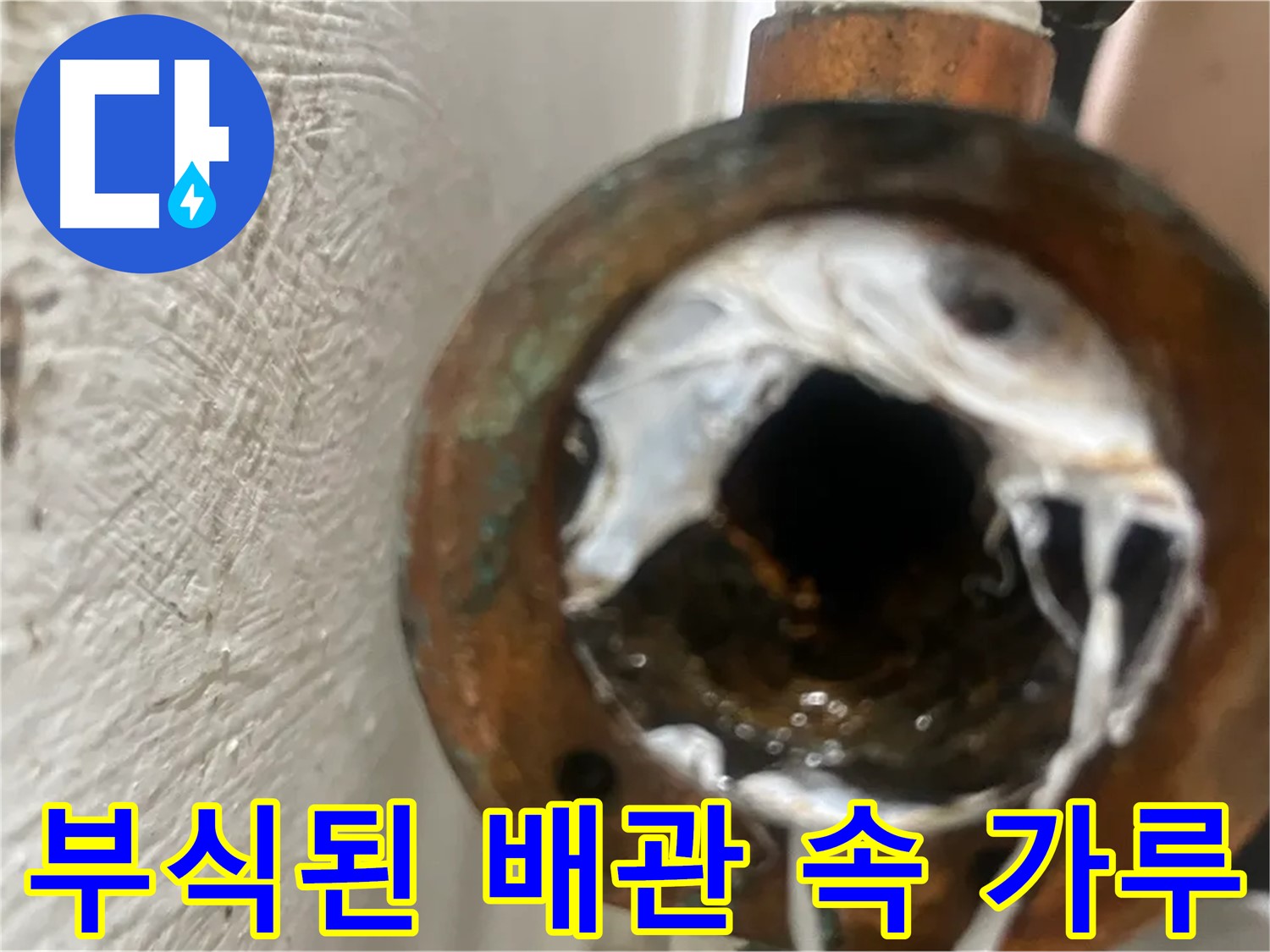 양천구 누수 - 부식된 배관 속 하얀 가루 제거