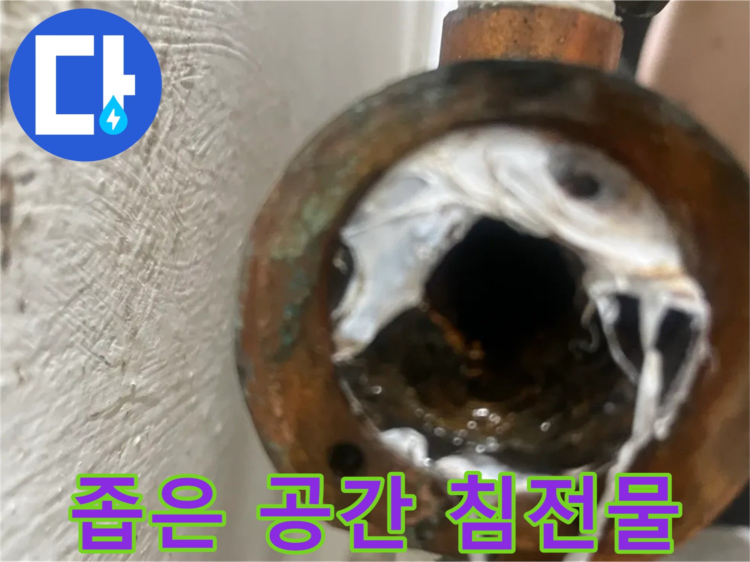 양천구 누수 - 좁은 공간 노후 배관 속 침전물 제거