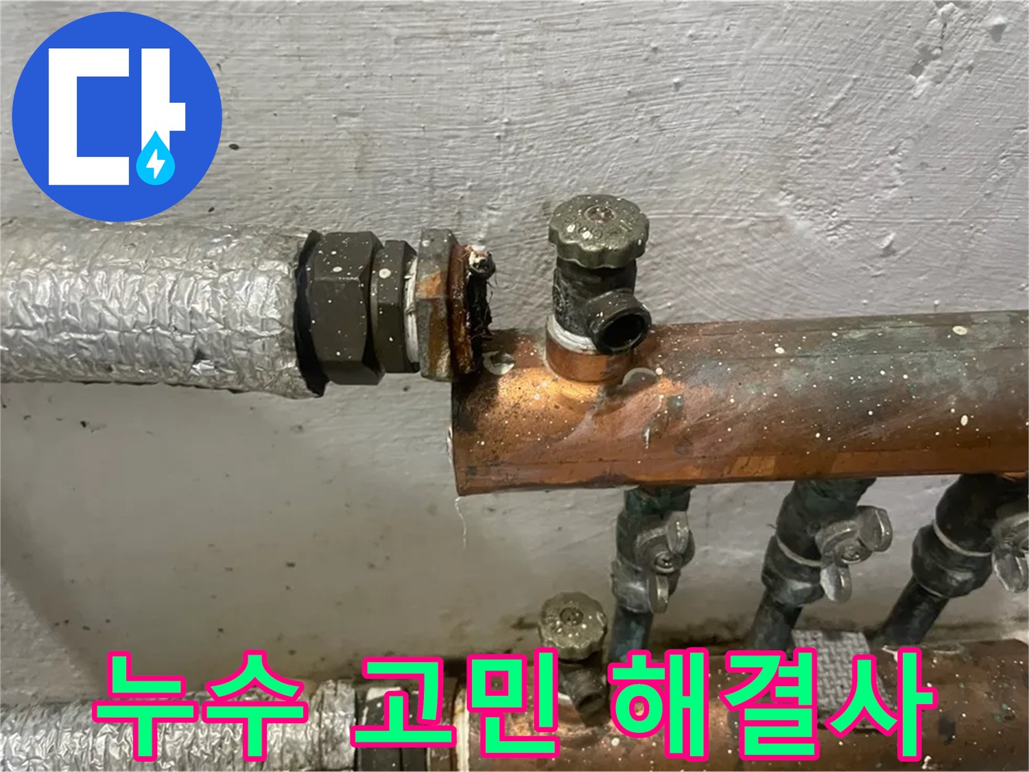 양천구 신월동 한일주택 누수 - 누수 고민, 전문가가 해결