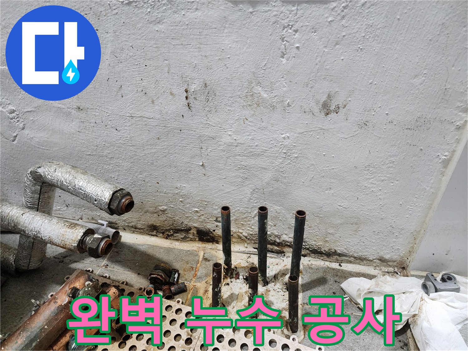 양천구 신월동 한일주택 - 완벽 누수 시공