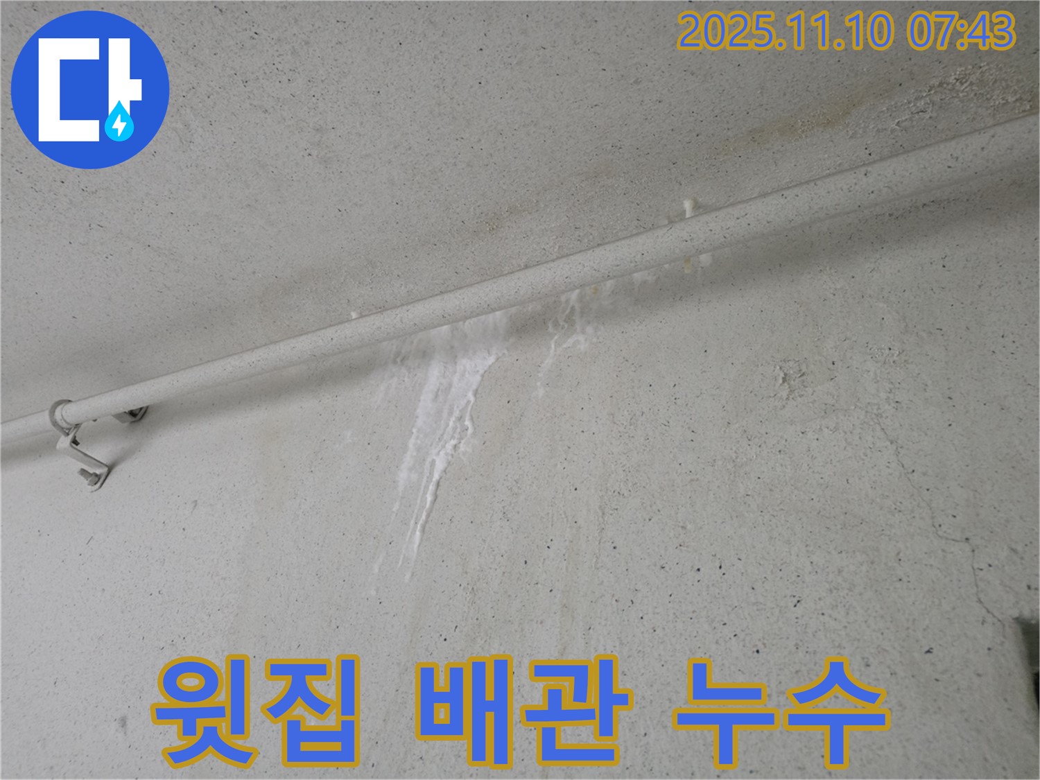 윗집 배관 누수 의심 - 안양 만안구 양화로 초원맨션에서 누수탐지 전문가가 윗집 배관 문제를 누수 원인으로 의심하고 탐지 작업을 진행하고 있습니다.