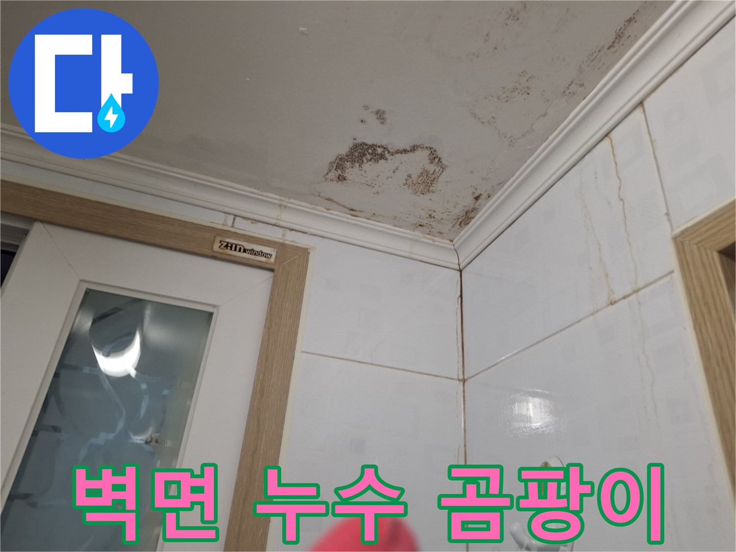 벽면 누수 - 곰팡이 발생 - 원인 파악 중요