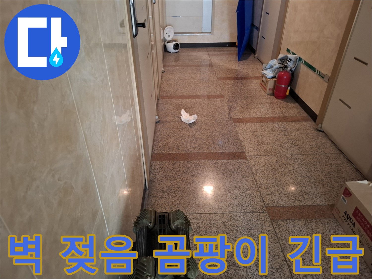 복도 벽이 젖어있고 곰팡이 냄새가 - 긴급 상황!