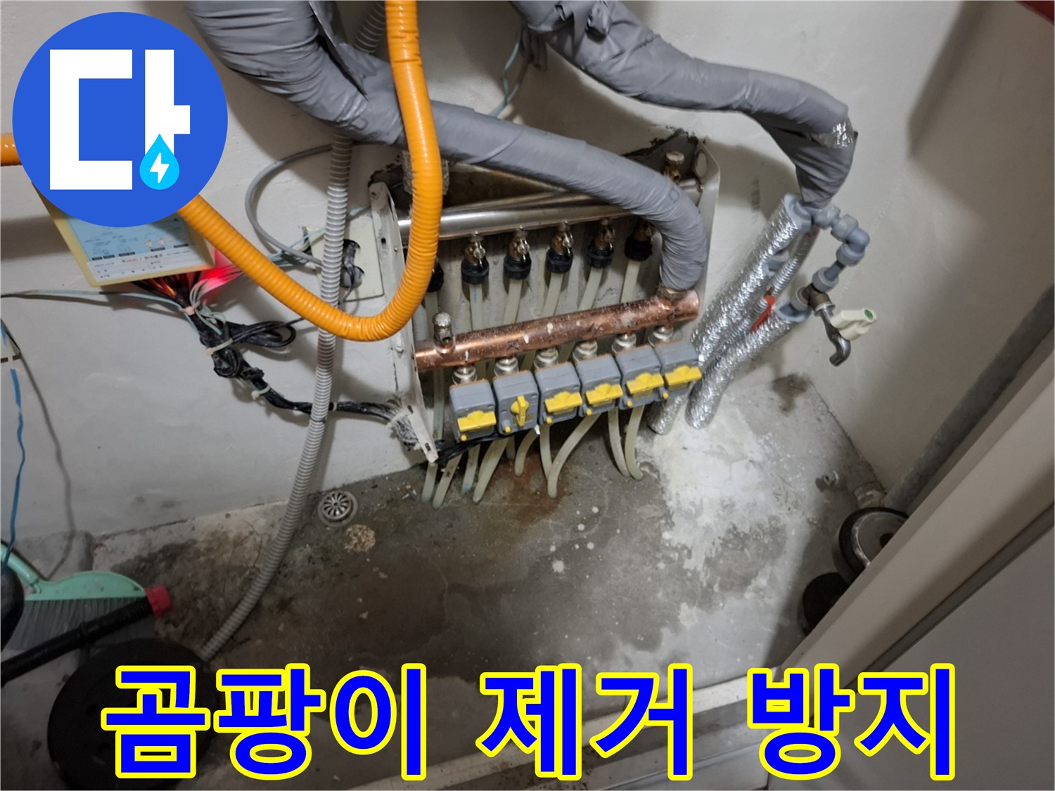 분배기 주변 곰팡이 - 깨끗하게 제거하고 곰팡이 방지 시공까지!