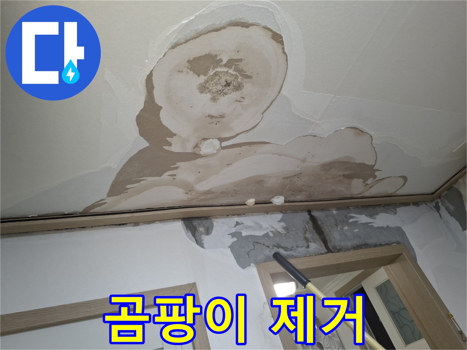 석고보드 속 곰팡이 - 건강 위협, 철저한 제거!