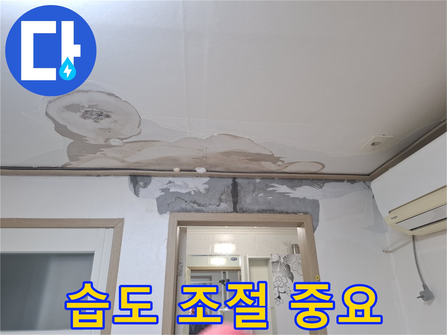 습도 조절 중요 - 곰팡이 방지를 위해 적정 습도를 유지하는 모습