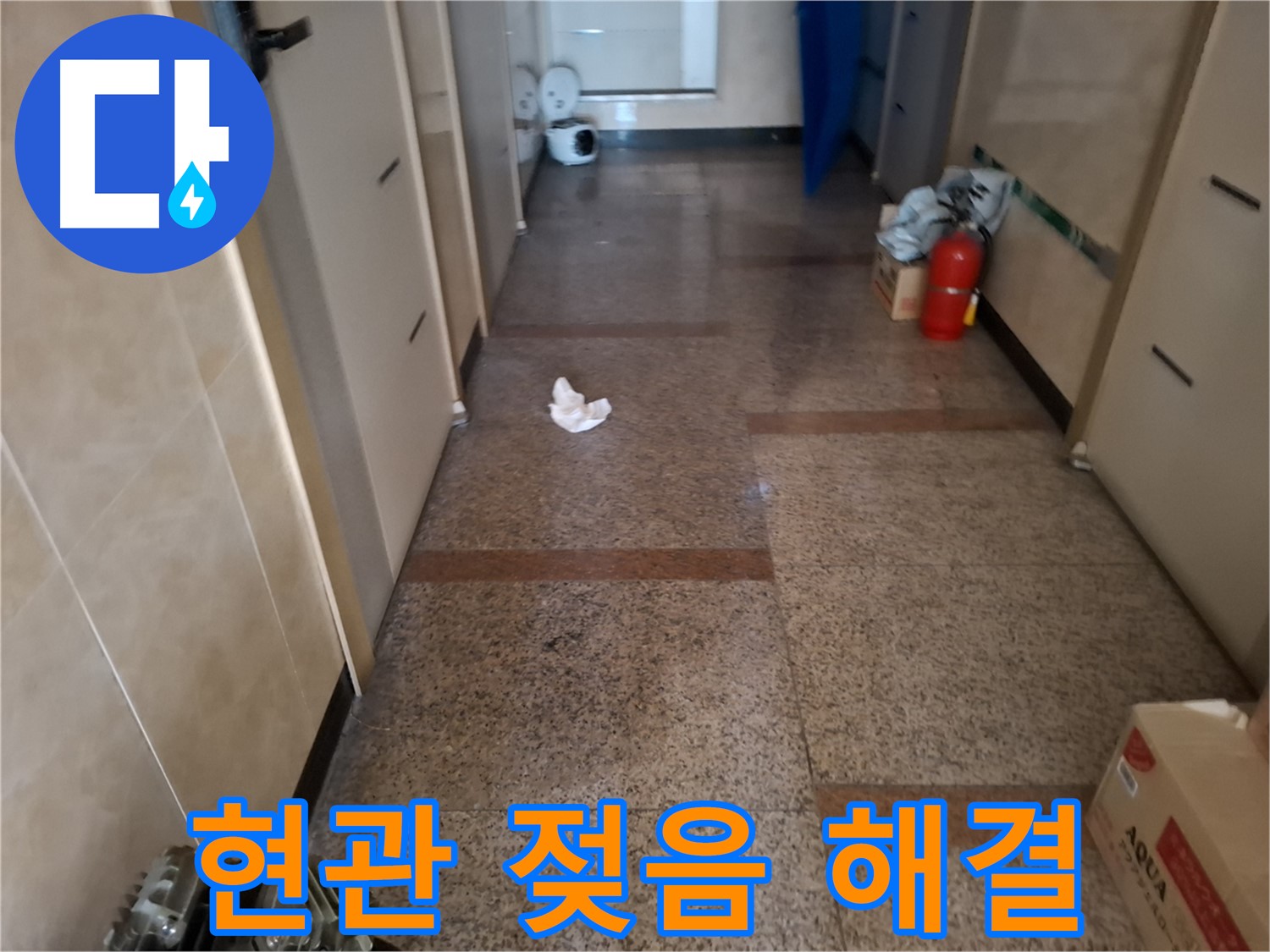현관 젖음 해결 - 신속 진단 - 신림동 누수 전문