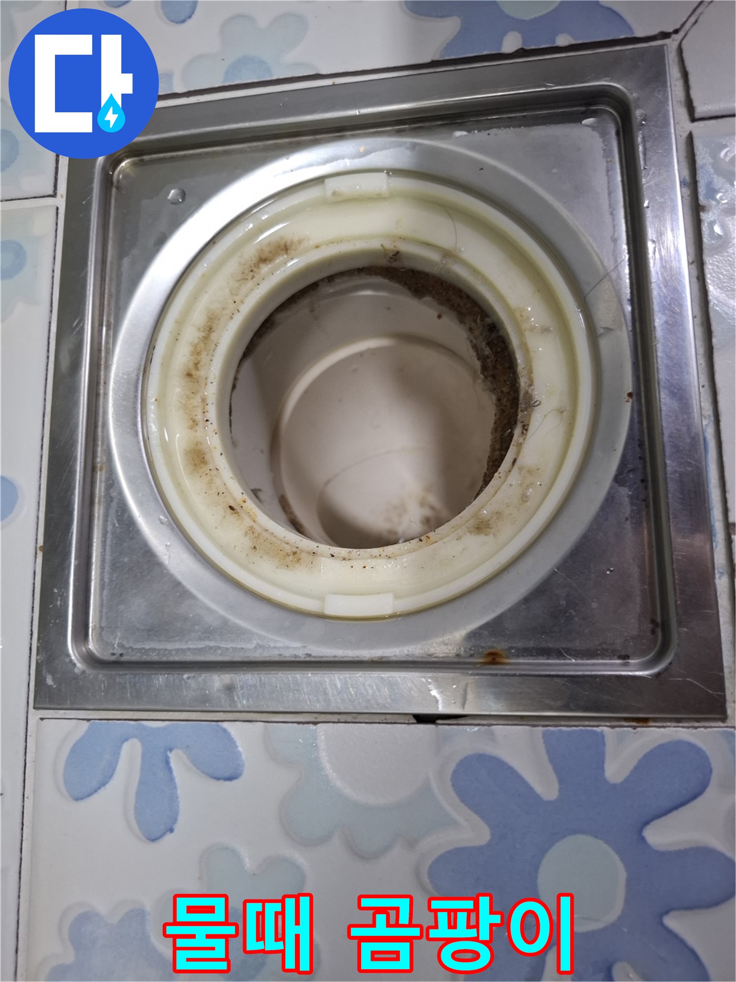 욕실 배수구 물때와 곰팡이 - 누수 위험