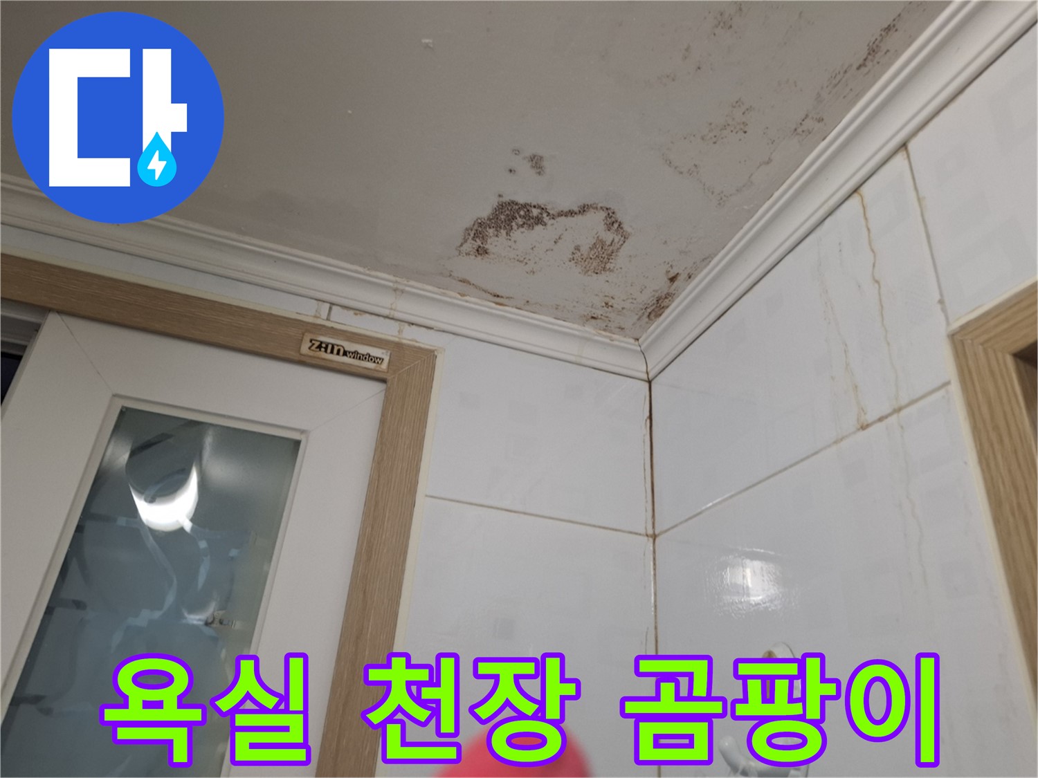 욕실 천장 곰팡이 - 심각한 오염 - 빠른 해결