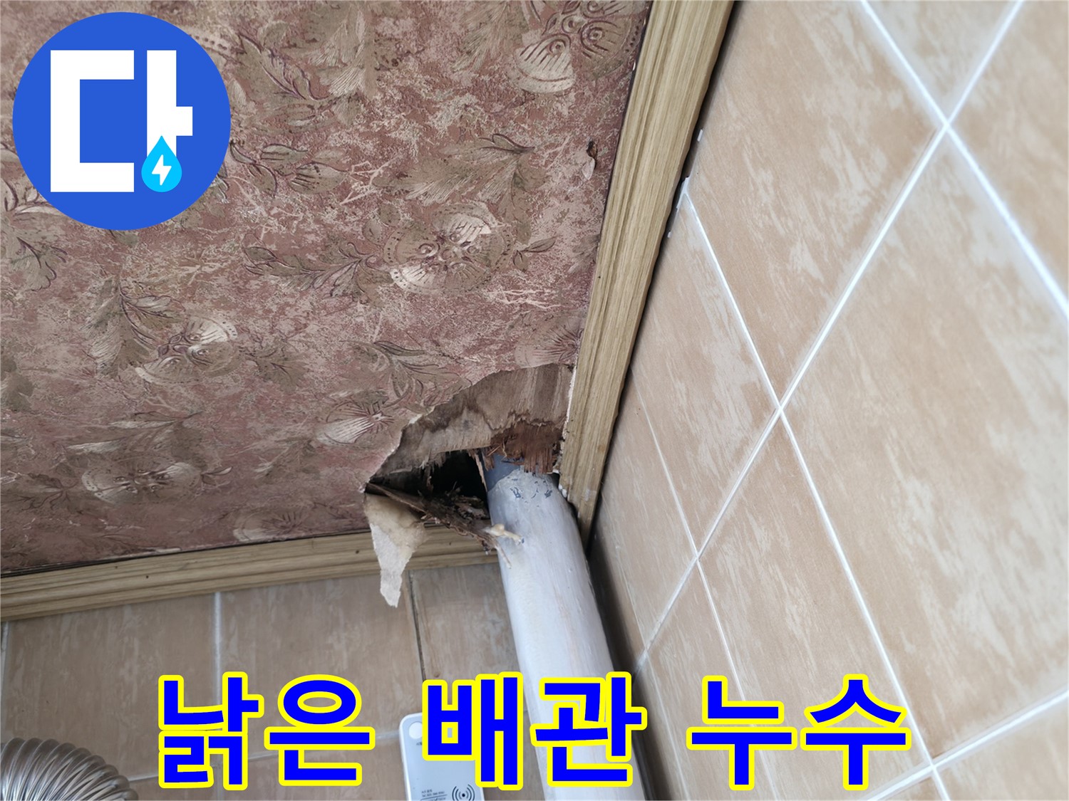 천장 배관 누수 정밀 분석 - 숨겨진 원인까지 찾아내는 전문 기술